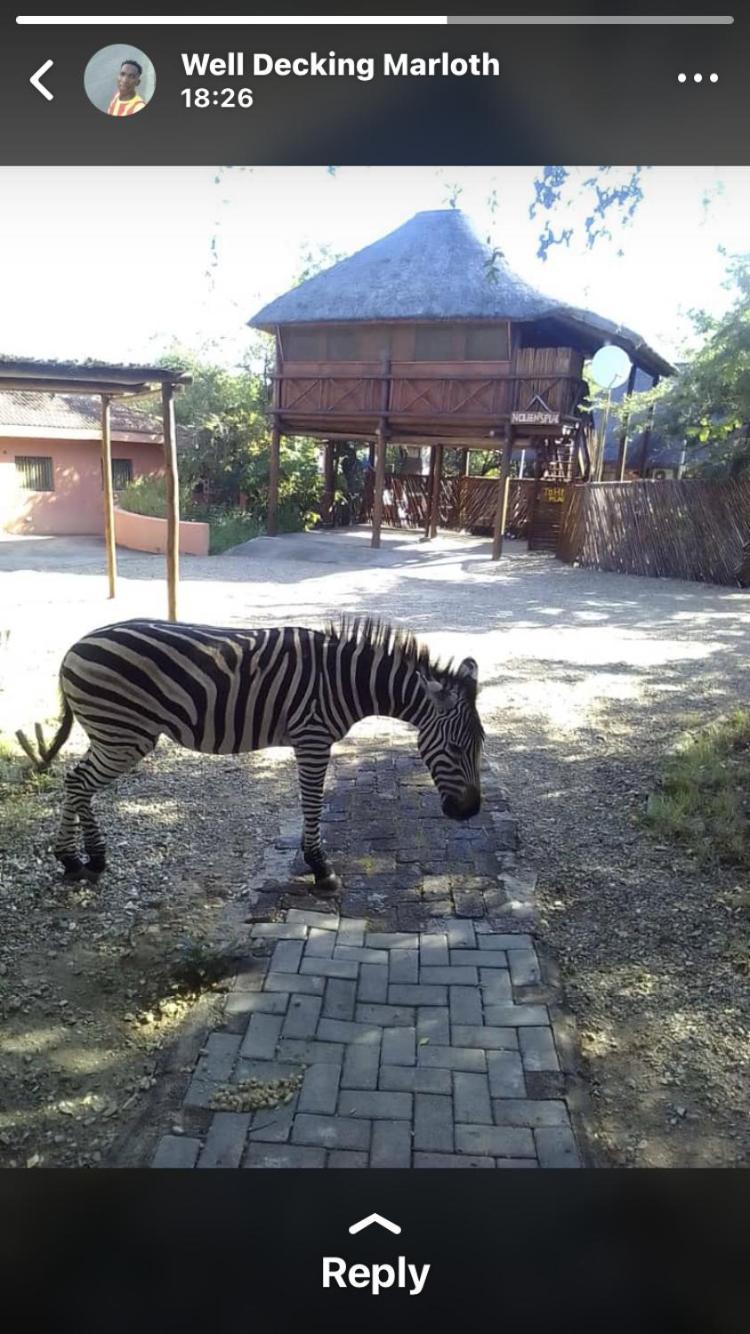 John And Noleen'S Place Marloth Park Eksteriør bilde